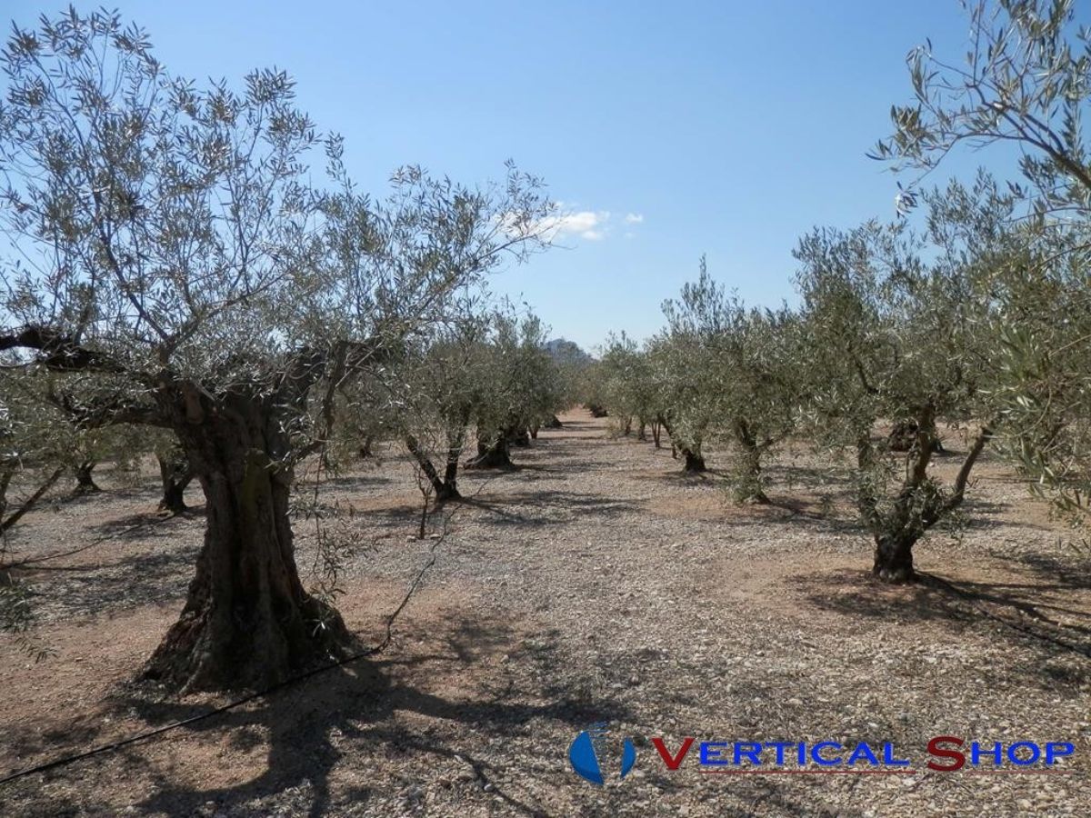 Venta de chalet en Caudete