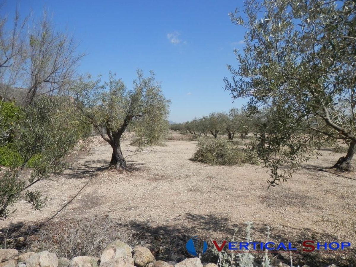 Venta de chalet en Caudete