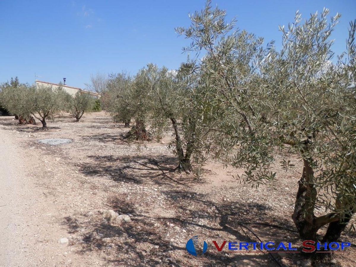 Venta de chalet en Caudete