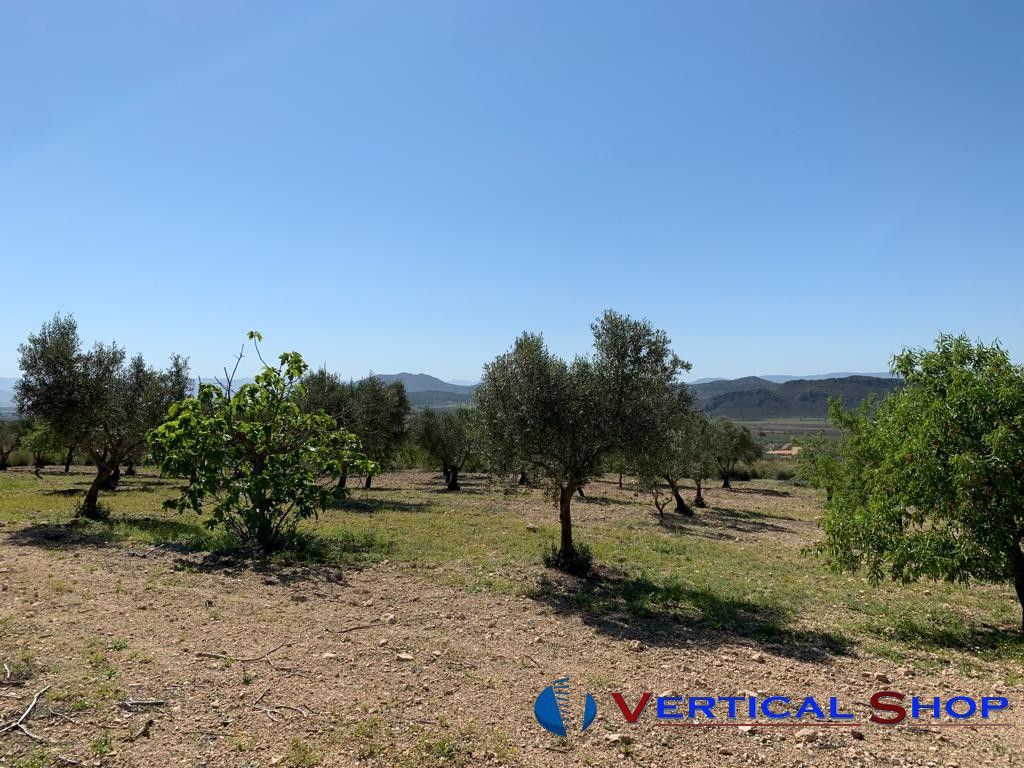 Venta de chalet en Caudete