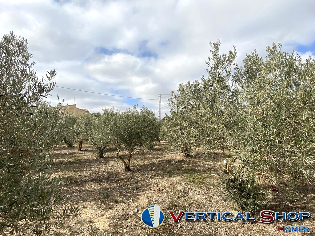 For sale of chalet in Caudete