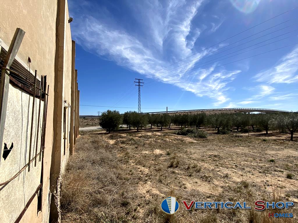 For sale of land in Caudete