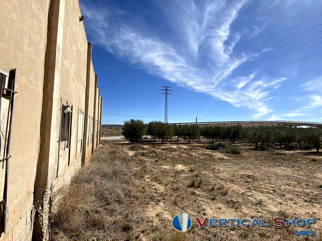 For sale of land in Caudete