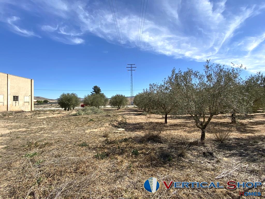 For sale of land in Caudete