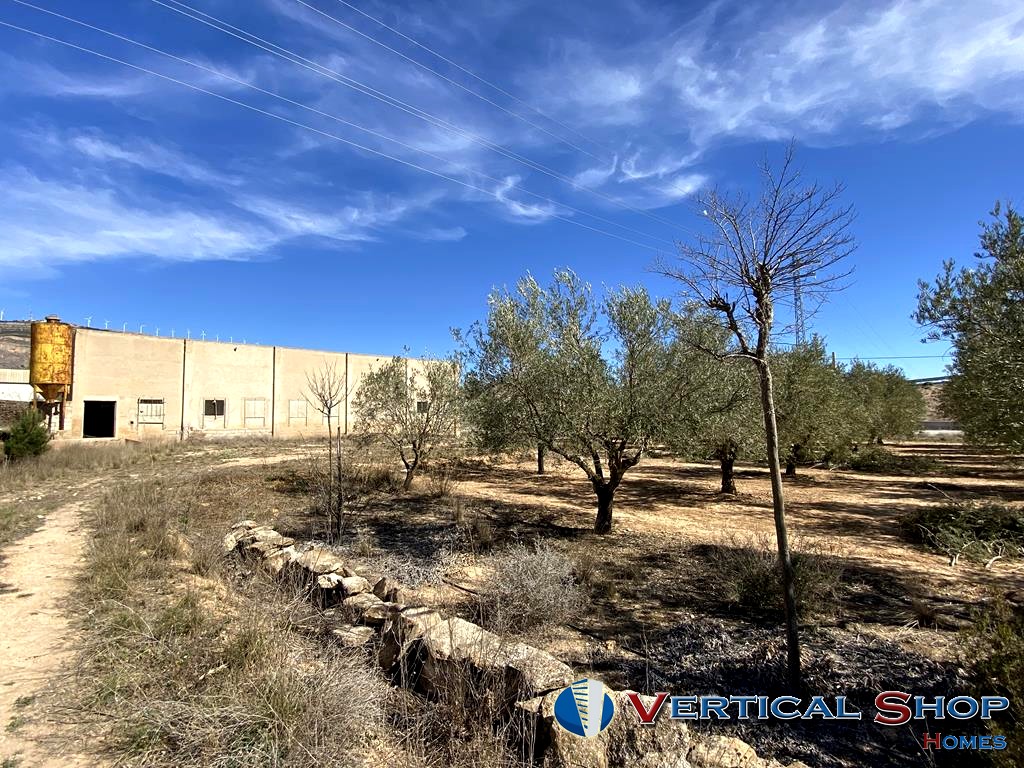 For sale of land in Caudete