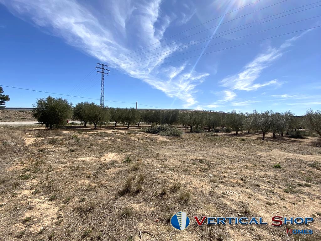 For sale of land in Caudete