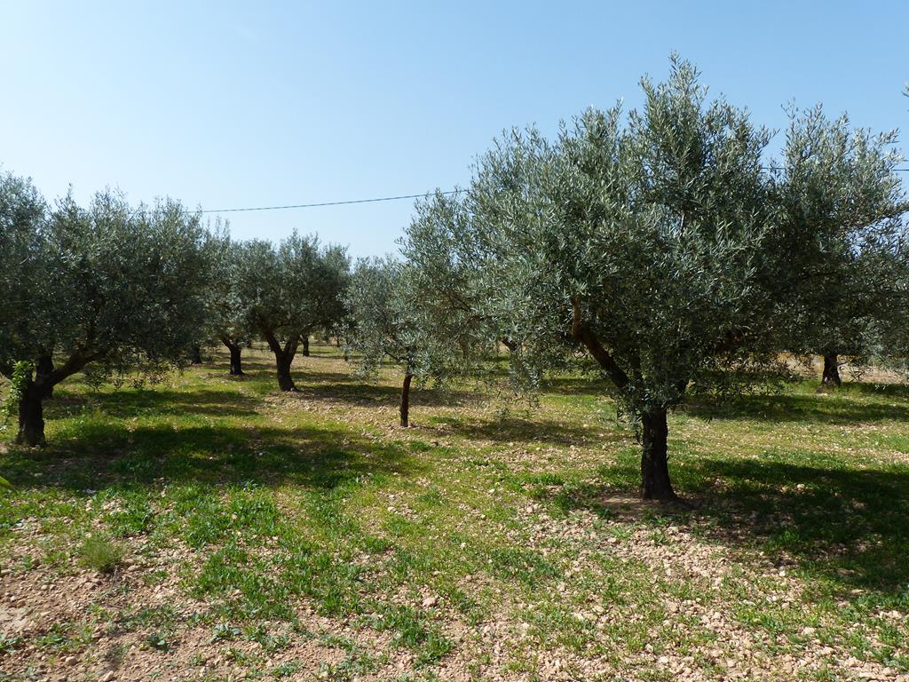For sale of chalet in Caudete