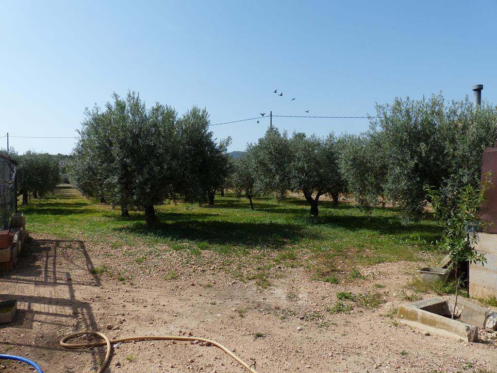 For sale of chalet in Caudete