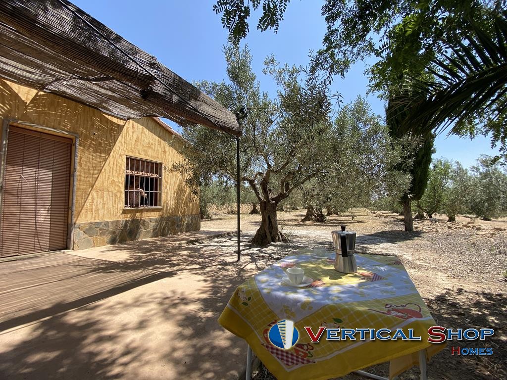 For sale of chalet in Caudete