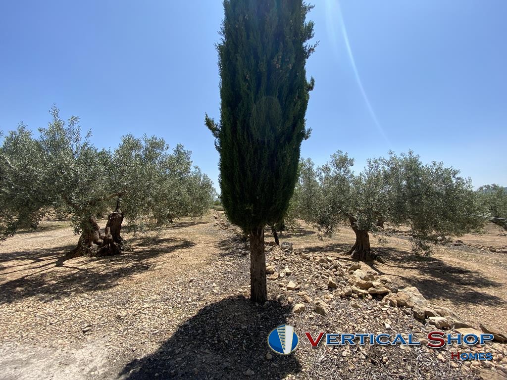 For sale of chalet in Caudete