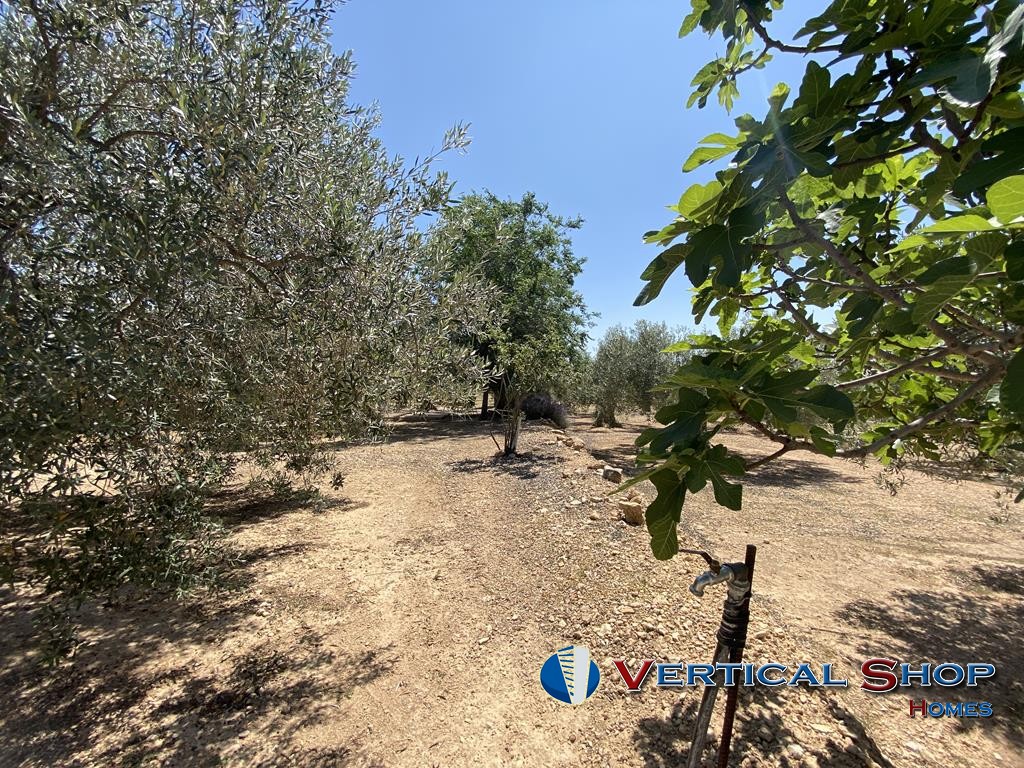 For sale of chalet in Caudete