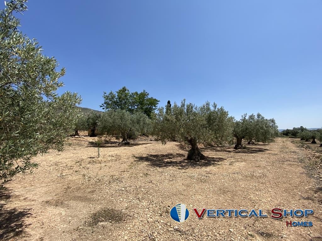 For sale of chalet in Caudete