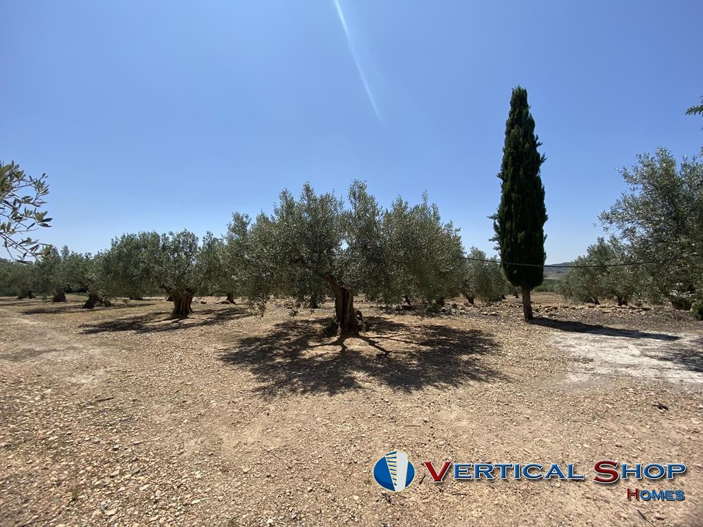 For sale of chalet in Caudete
