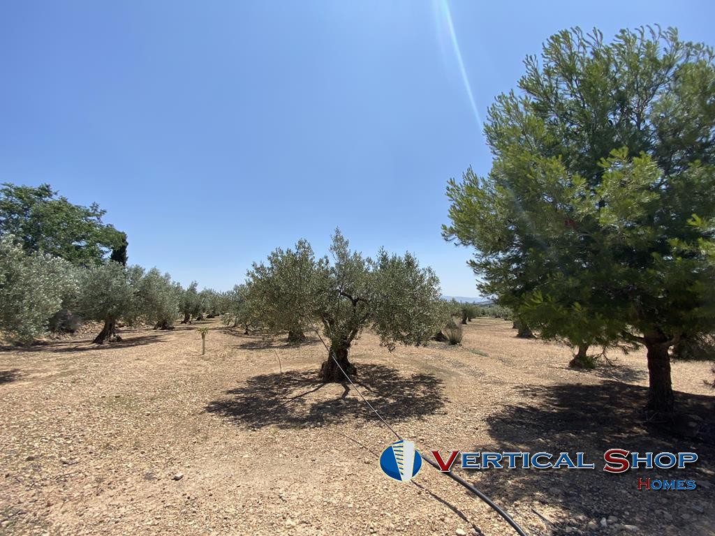 For sale of chalet in Caudete