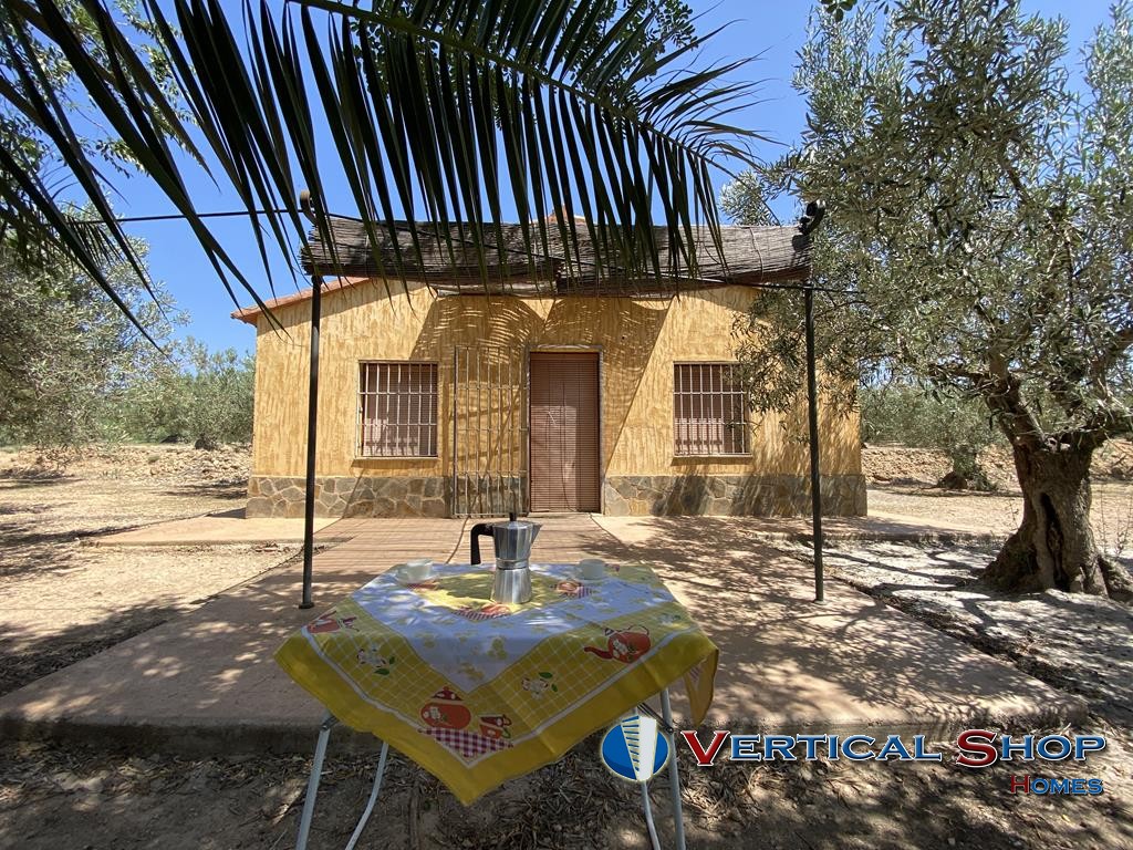 For sale of chalet in Caudete