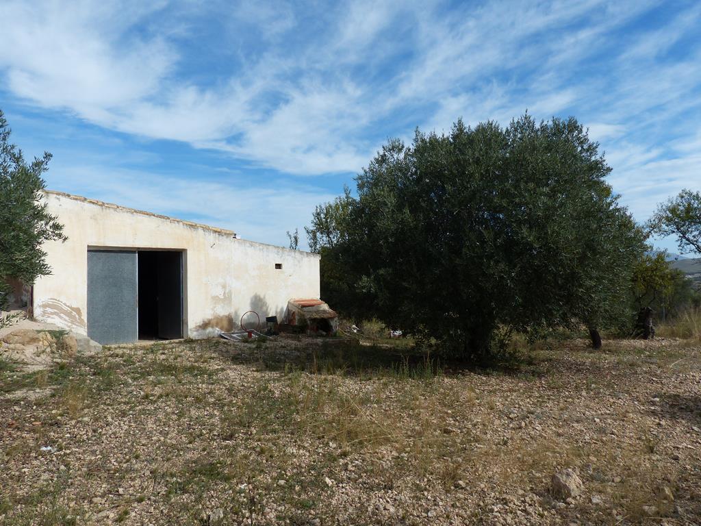 For sale of rural property in Yecla