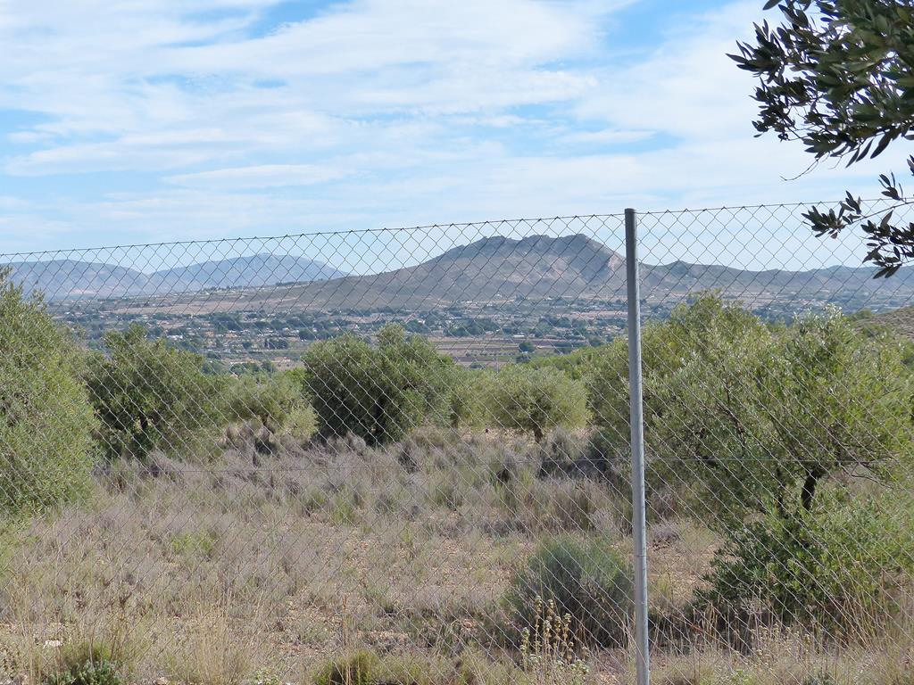 For sale of rural property in Yecla