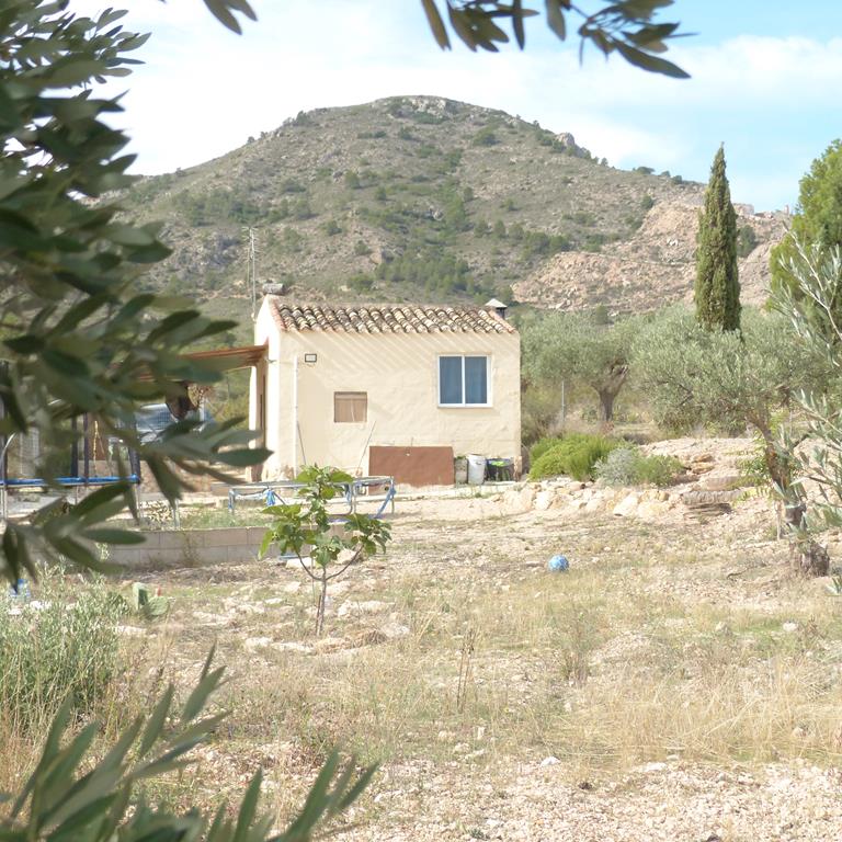 For sale of rural property in Yecla