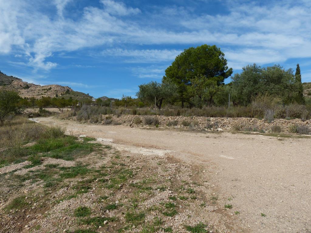 For sale of rural property in Yecla