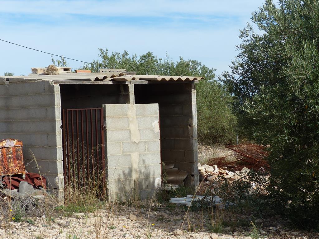 For sale of rural property in Yecla