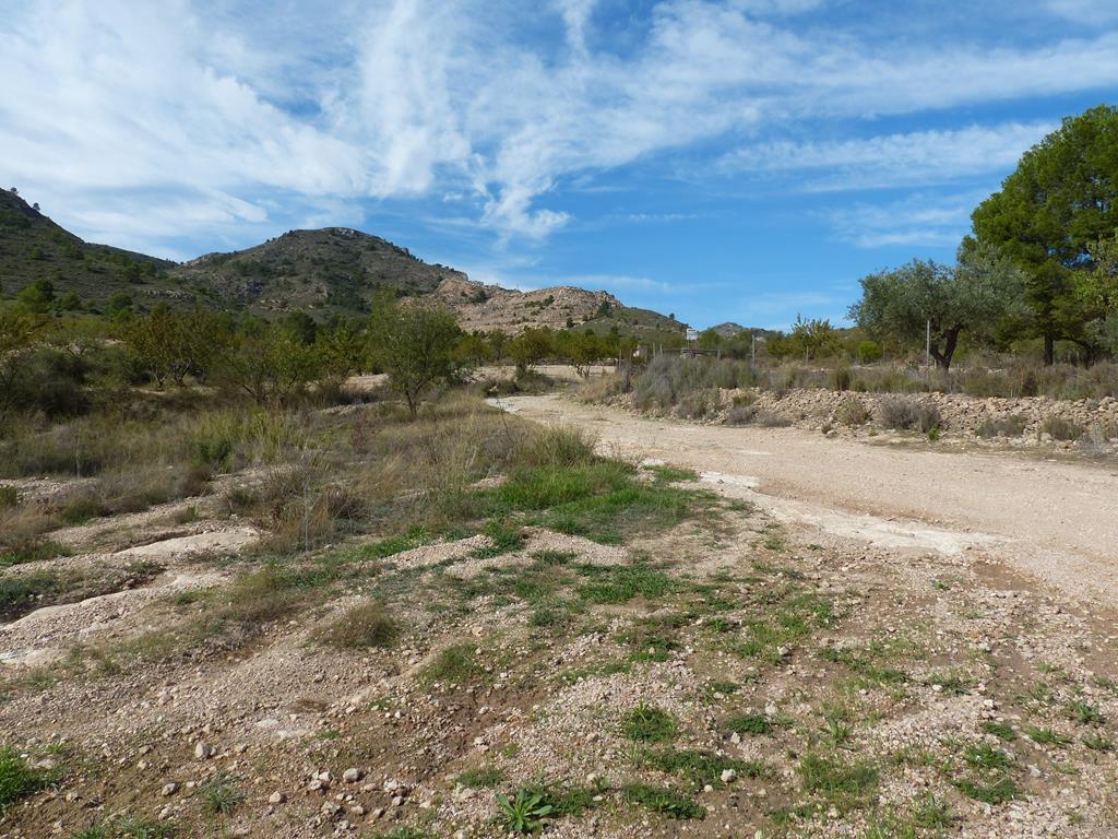 For sale of rural property in Yecla