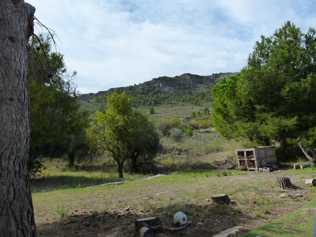 For sale of rural property in Yecla