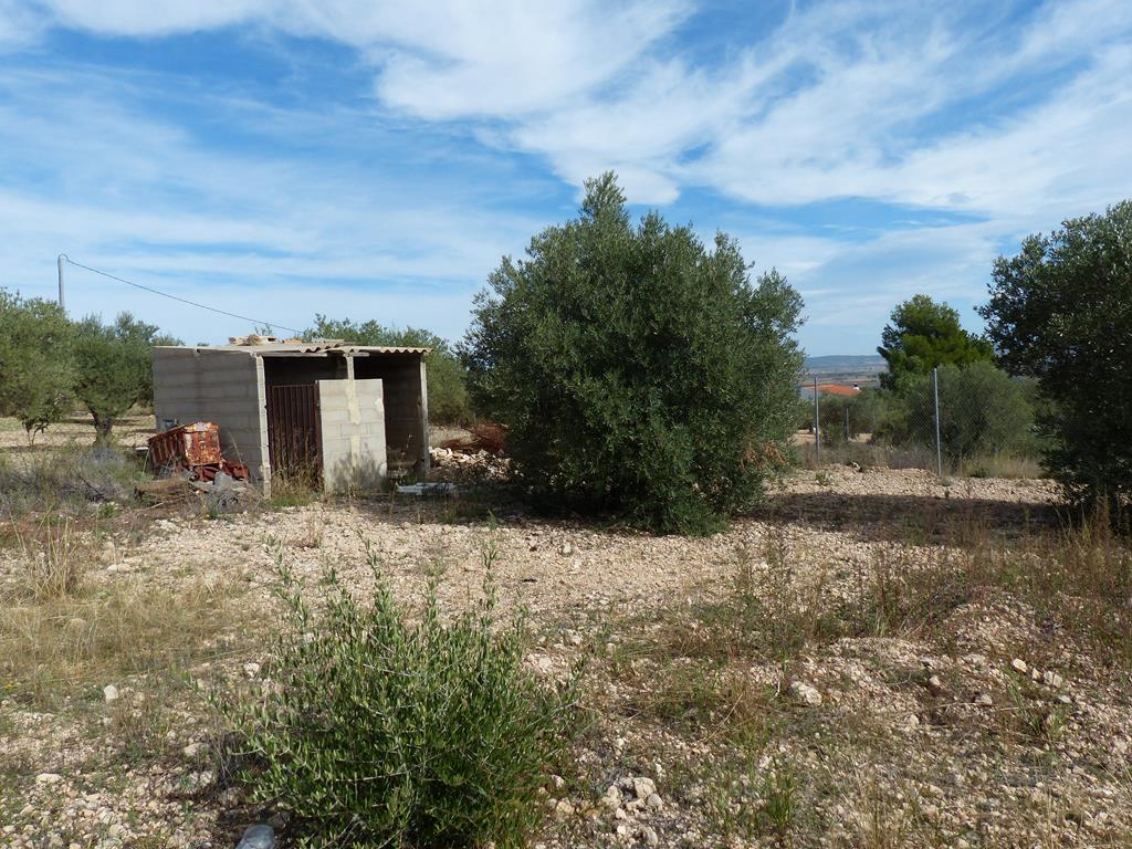 For sale of rural property in Yecla