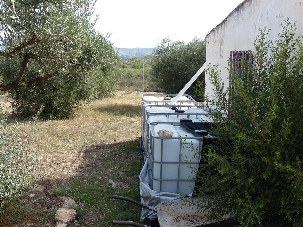 For sale of rural property in Yecla