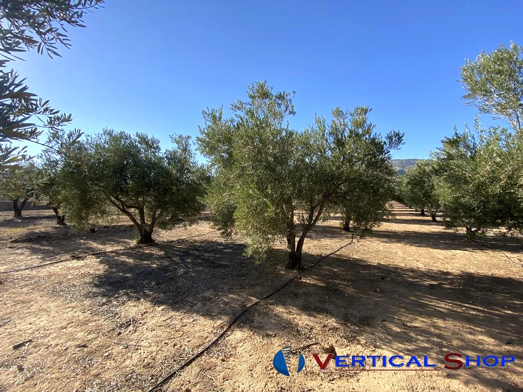 For sale of chalet in Caudete