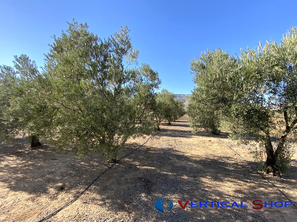 For sale of chalet in Caudete