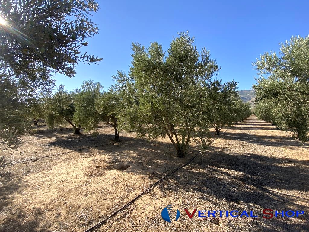 For sale of chalet in Caudete