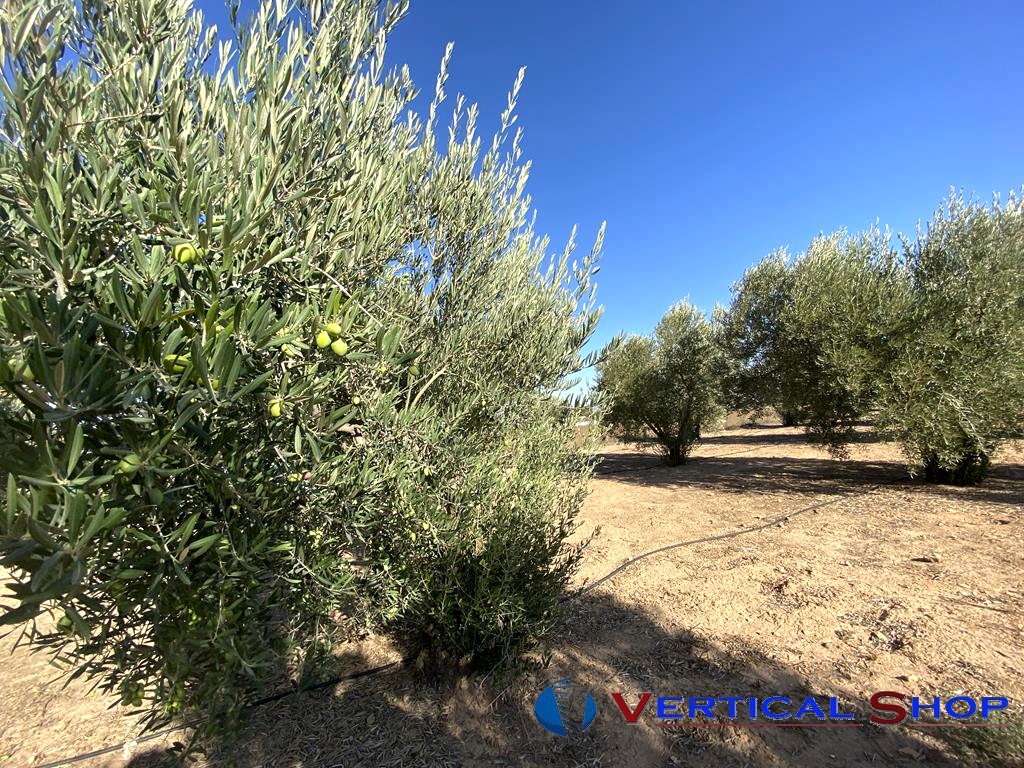 For sale of chalet in Caudete
