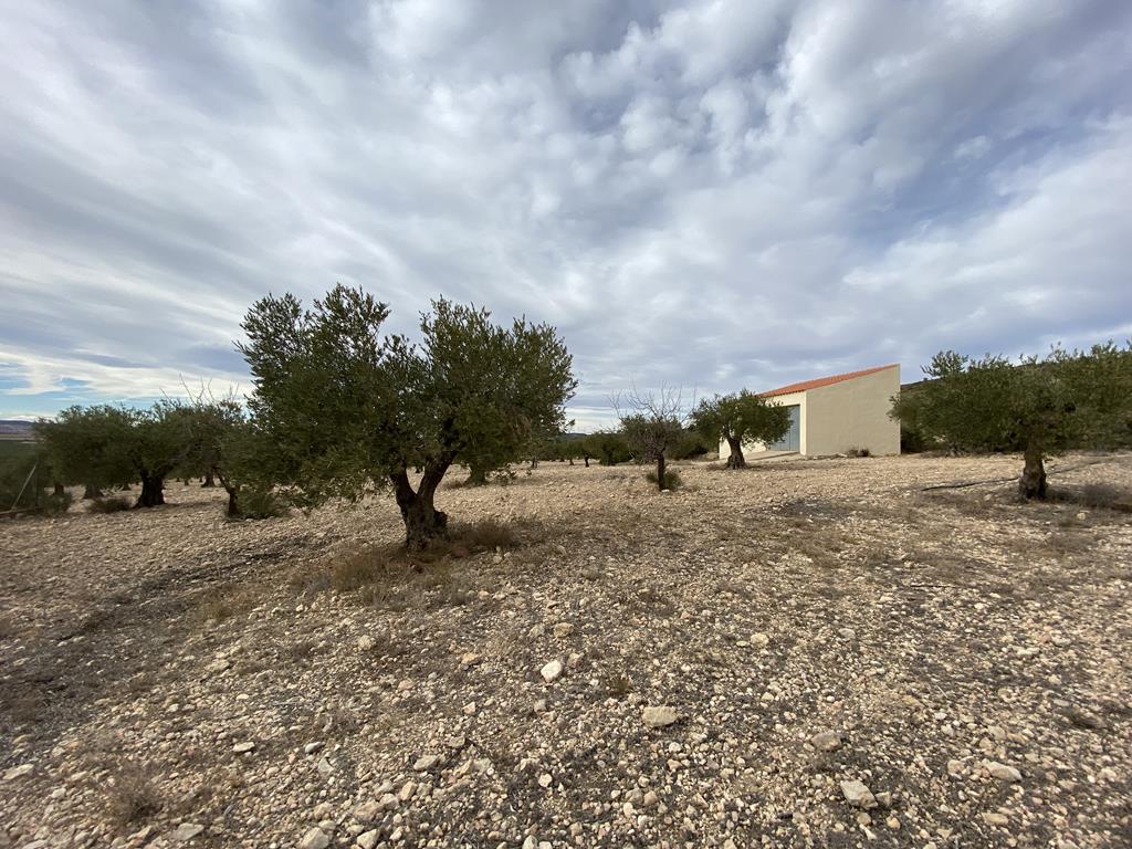 For sale of chalet in Caudete