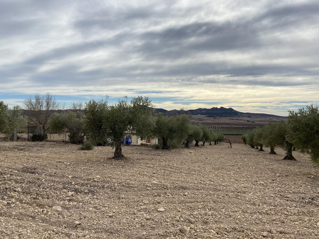 For sale of chalet in Caudete