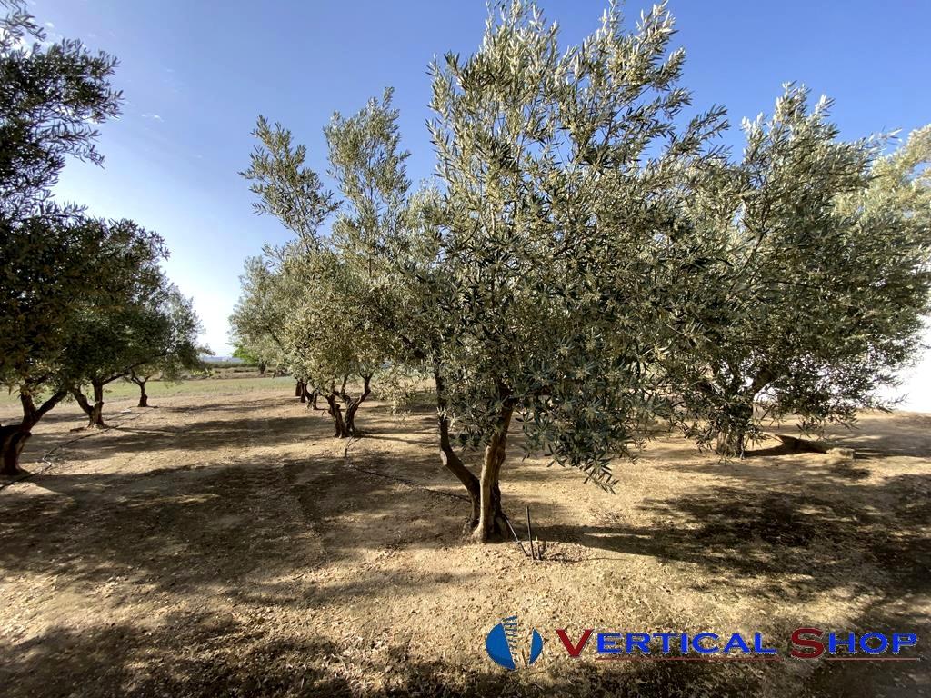 For sale of chalet in Caudete