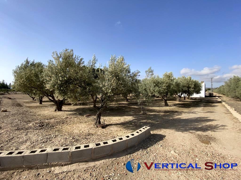 For sale of chalet in Caudete
