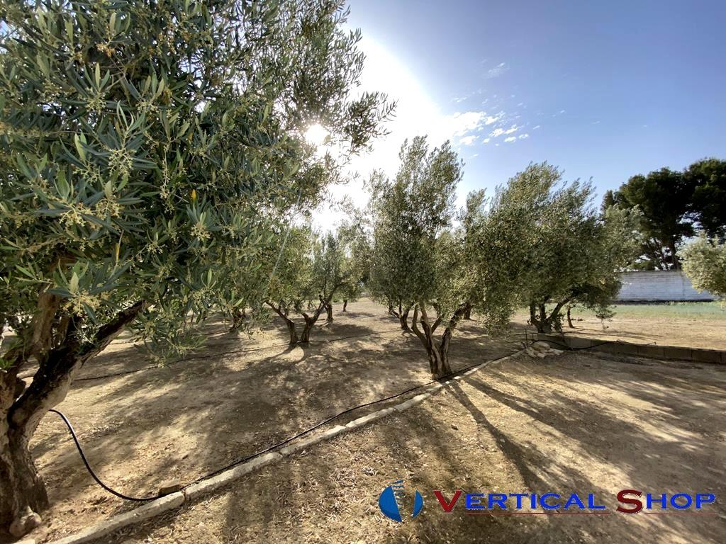 For sale of chalet in Caudete