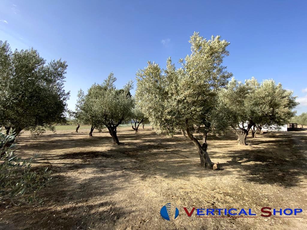 For sale of chalet in Caudete