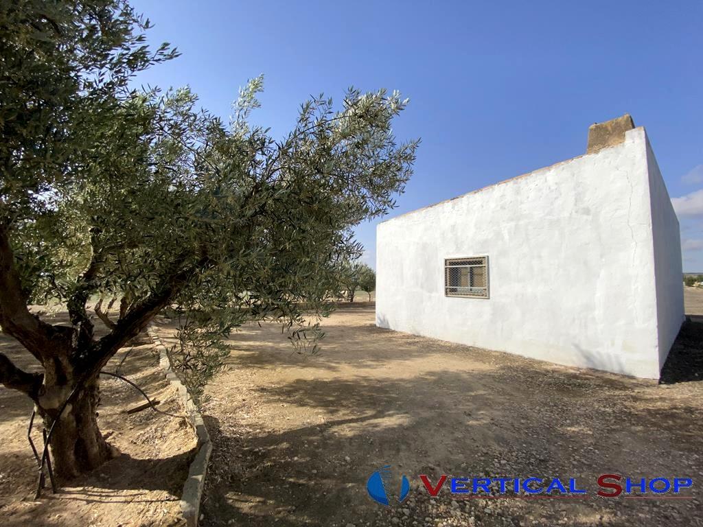 For sale of chalet in Caudete