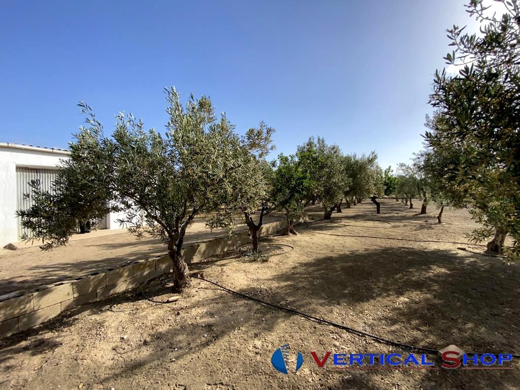 For sale of chalet in Caudete