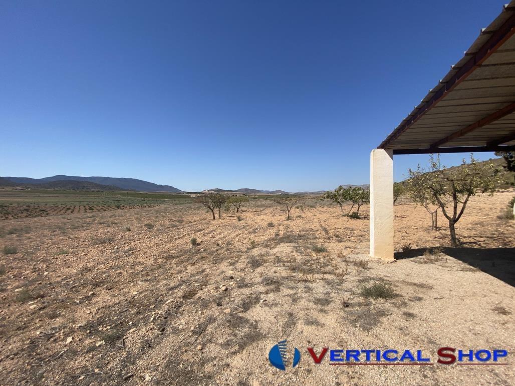 Venta de chalet en Yecla