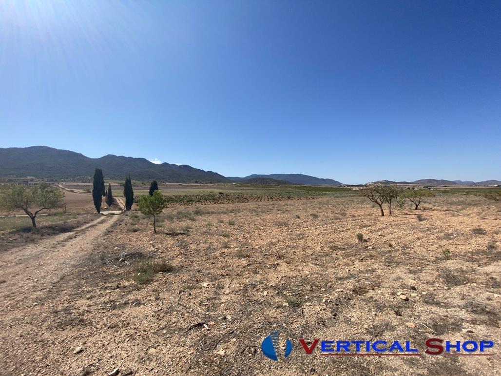 Venta de chalet en Yecla