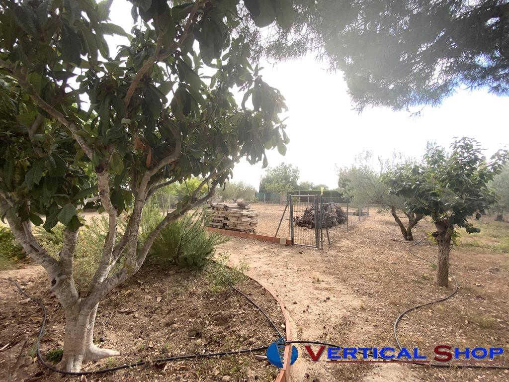 For sale of chalet in Caudete
