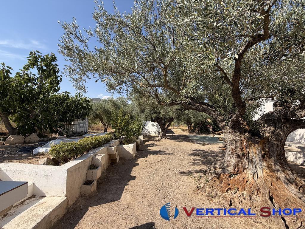 For sale of chalet in Caudete