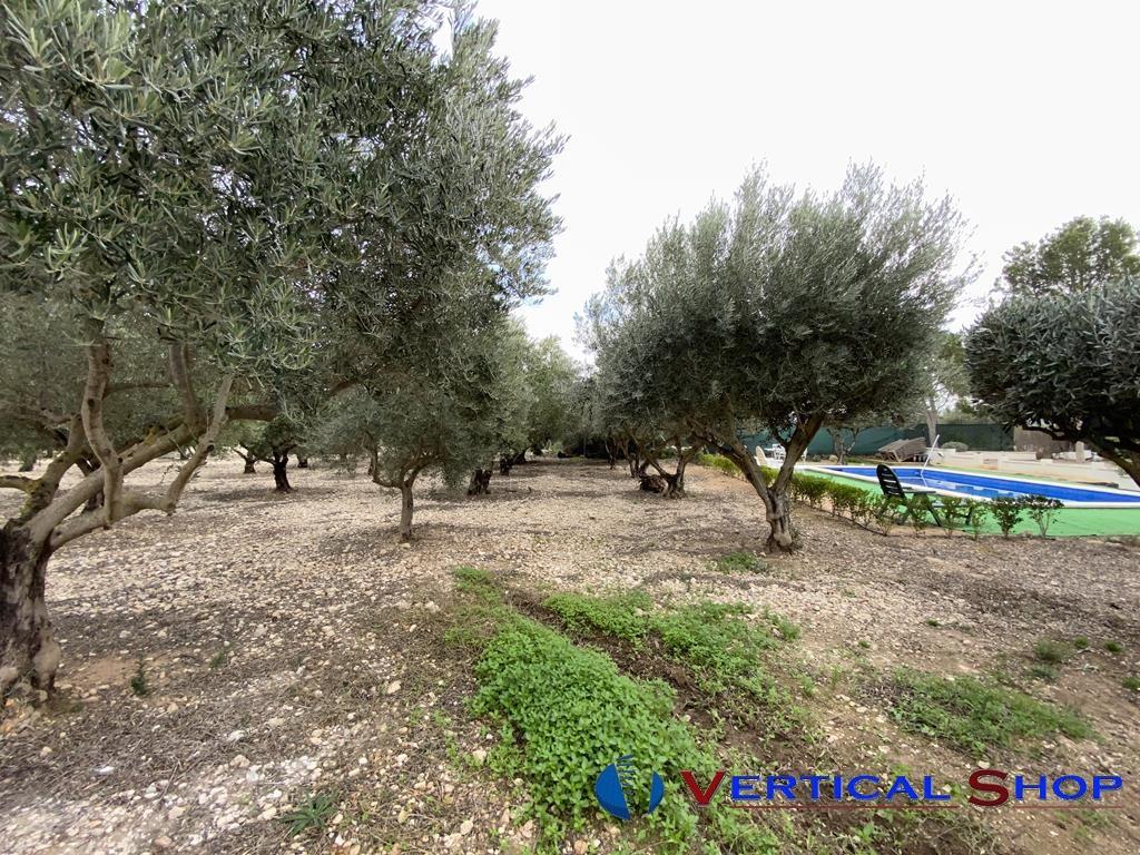 Venta de chalet en Caudete