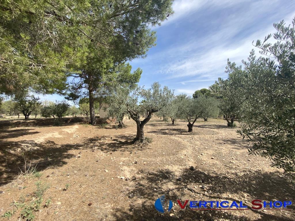 Venta de chalet en Caudete