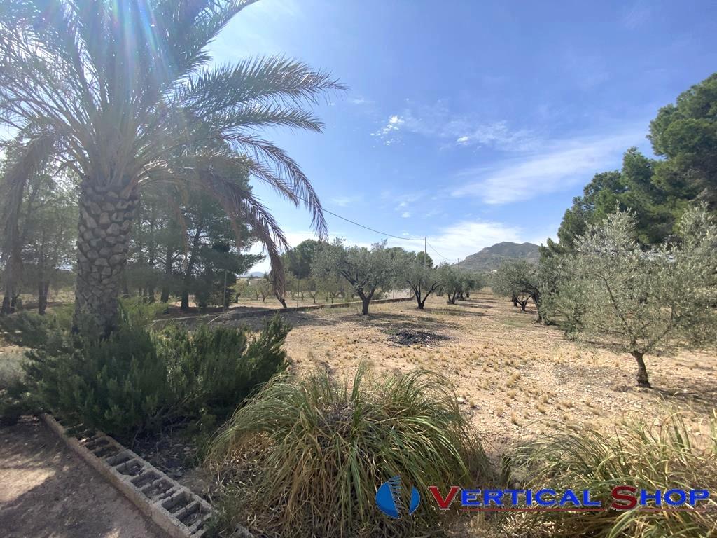Venta de chalet en Caudete