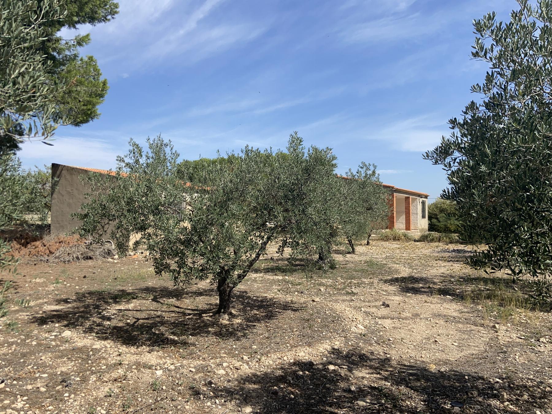Venta de chalet en Caudete