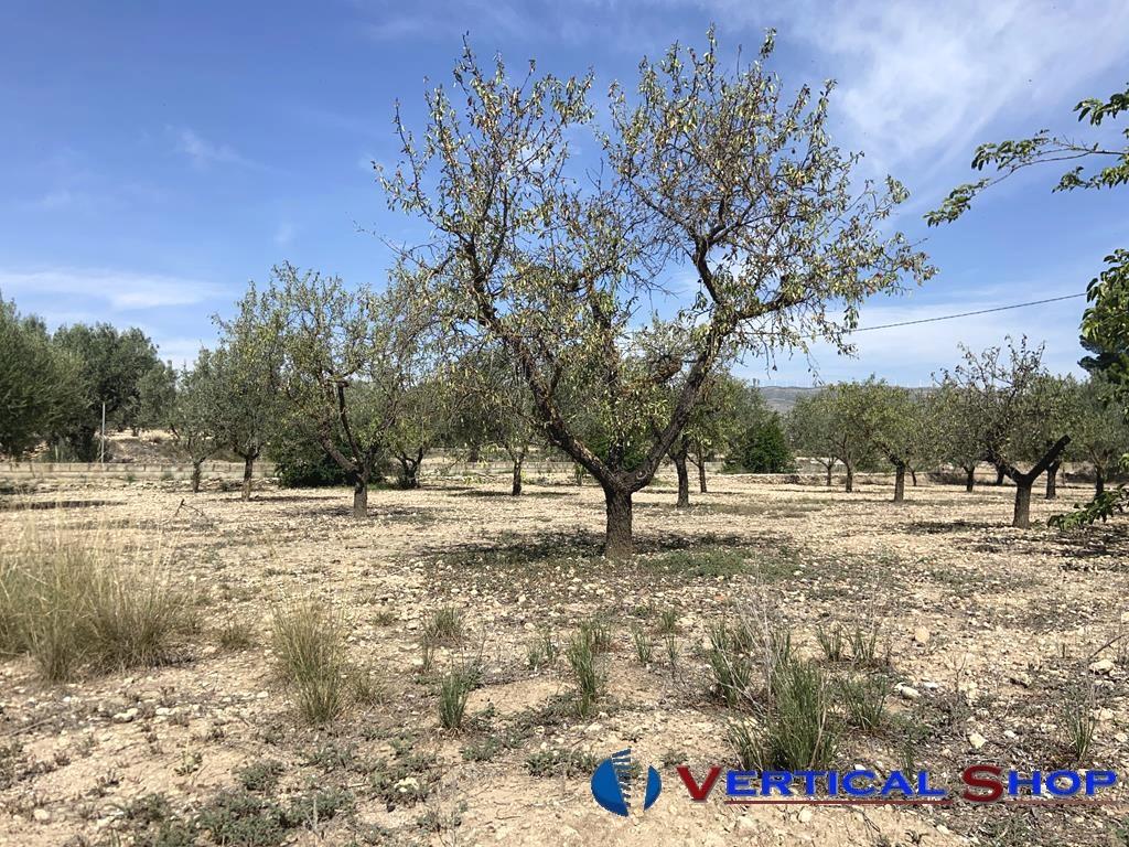 Venta de chalet en Caudete