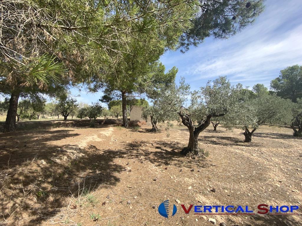 Venta de chalet en Caudete